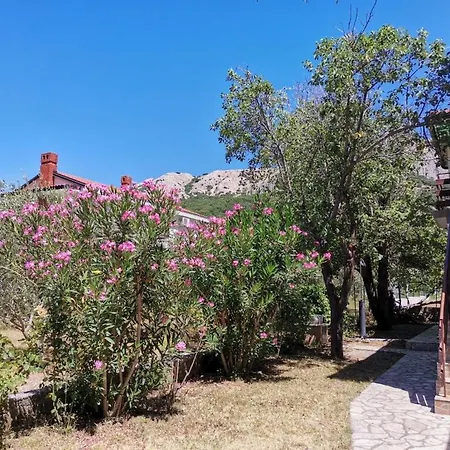 Dobrila *